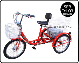 จักรยาน 3 ล้อไฟฟ้า SEB-TRI02 (ดัดแปลง)